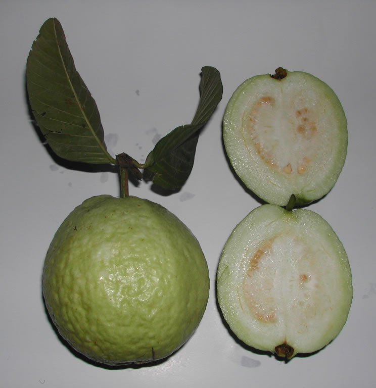 Guavas