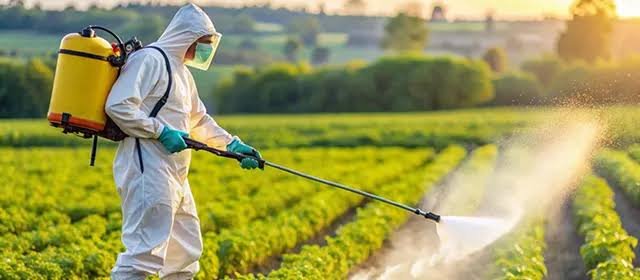 Insecticide